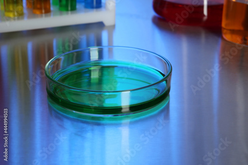 Petri dish with green liquid on table