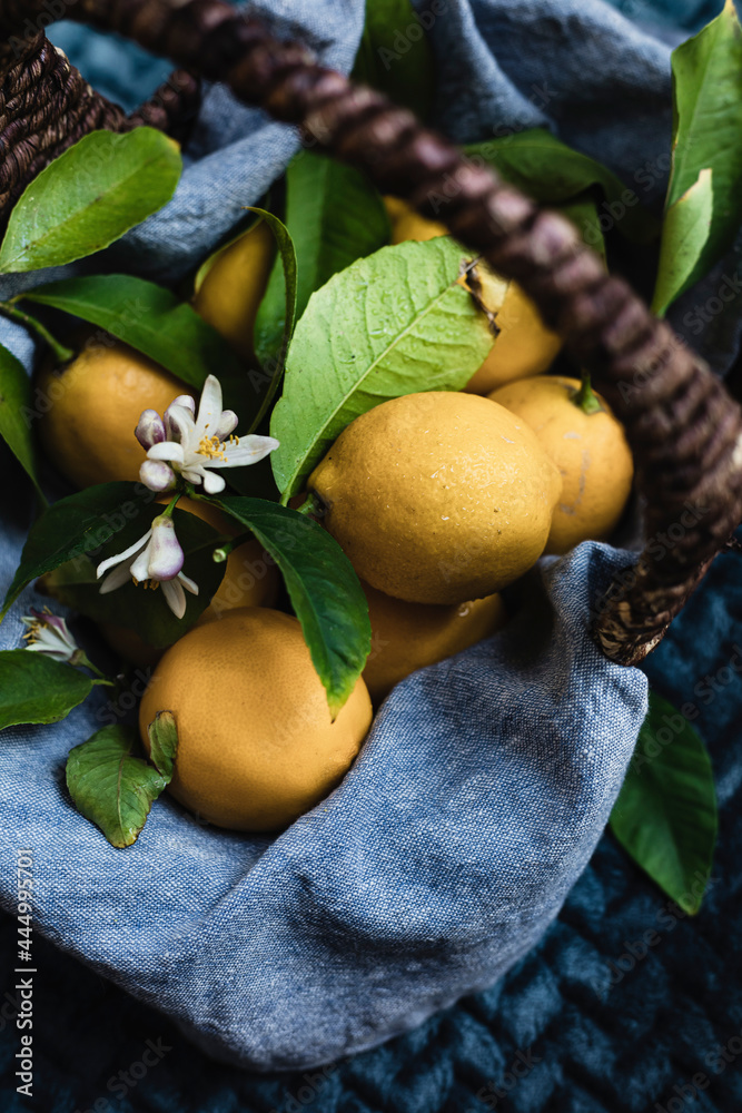 Homegrown Lemons, freshly picked in a wicker basket