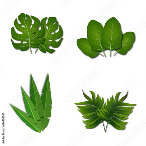 leaf vector illustration design