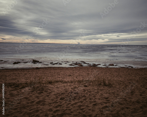 Cold sunset at the beach with sea foam and birds,Thisted,Denmark photo