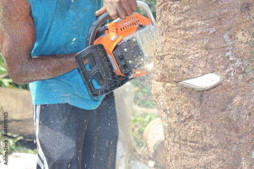 hombre talando un árbol con una motosierra.