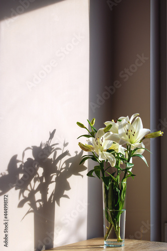 White lilies in a transparent vase on the background of the wall.