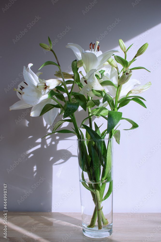 White lilies in a transparent vase on the background of the wall.