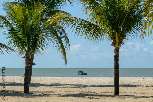 Coconut trees and boat on Lucena beach, near Joao Pessoa, Paraiba, Brazil on May 16, 2021.