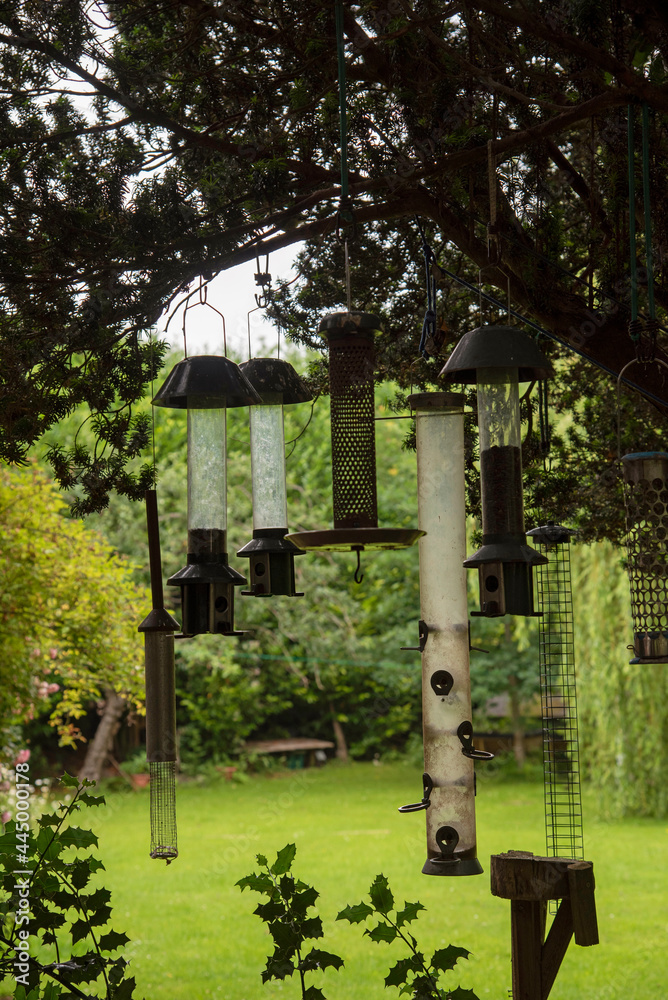 England UK. 2021. Empty bird feeders hanging from a tree with a backdrop of a garden on an overcast day in the UK. England UK. 2021. Empty bird feeders hanging from a tree with a backdrop of a garden on an overcast day in the UK.