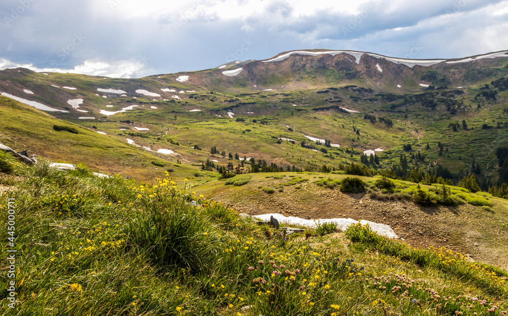 Scenic Panoramic View from Loveland Pass, Colorado