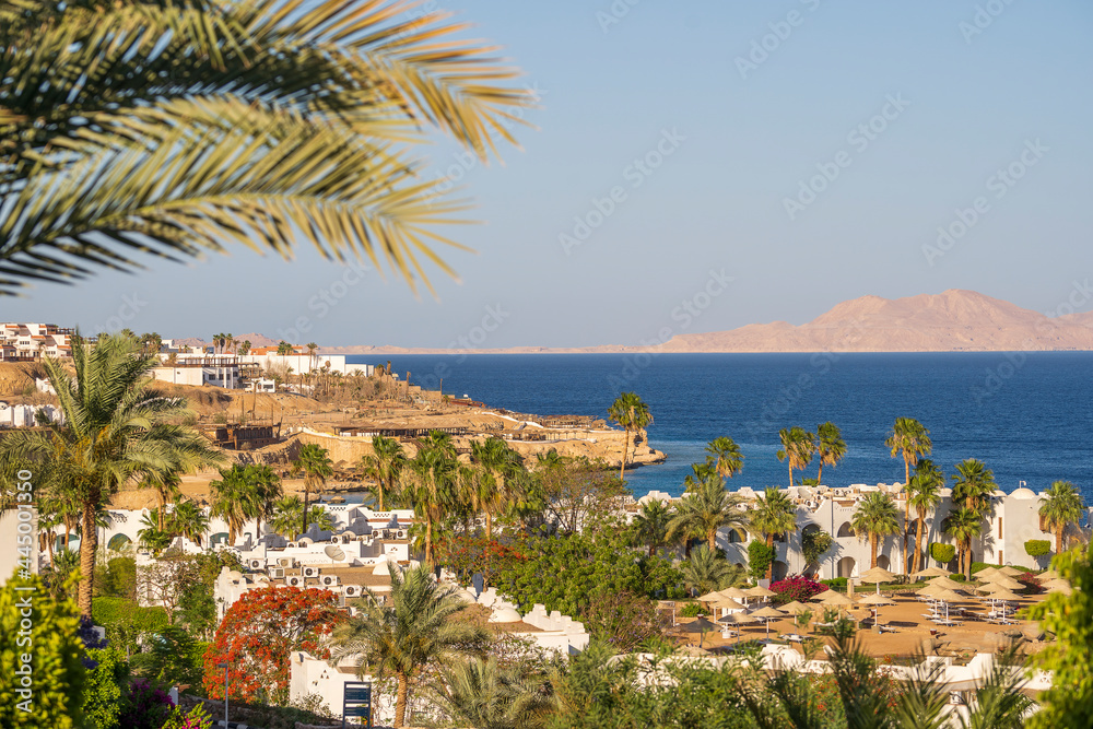 Calm beach on the red sea at morning in Sharm El Sheikh, Egypt