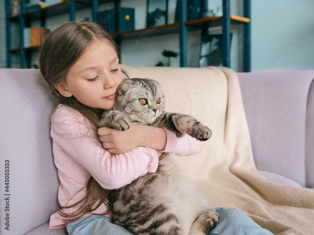Adorable, cute, smiling girl hugging Scottish gray cat on the sofa at home. Pets, friendship, home, happiness concept 