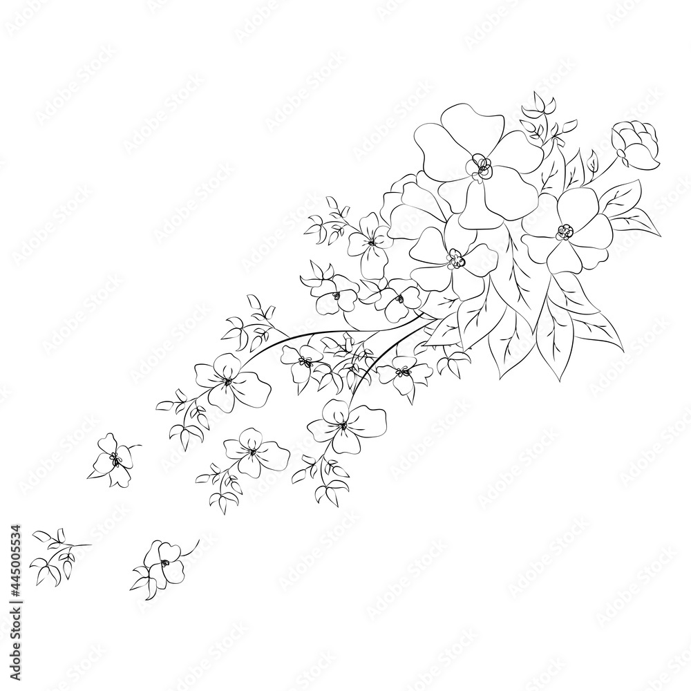 Fototapeta premium Summer garden blooming flowers monochrome illustration, sketch, hand drawn