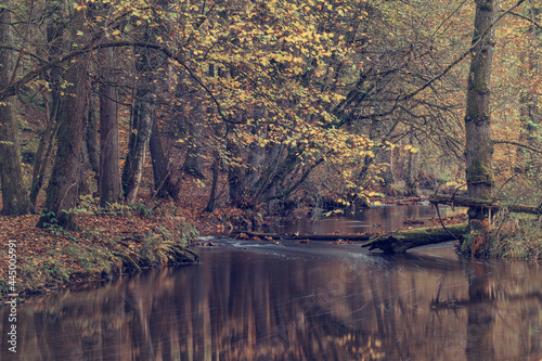 Wild river in autumn forest, Germany. Long exposure.