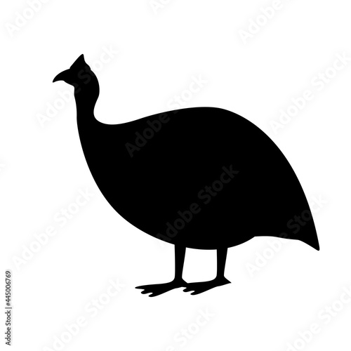 Fényképezés guinea fowl bird, vector illustration,  side view, black silhouette