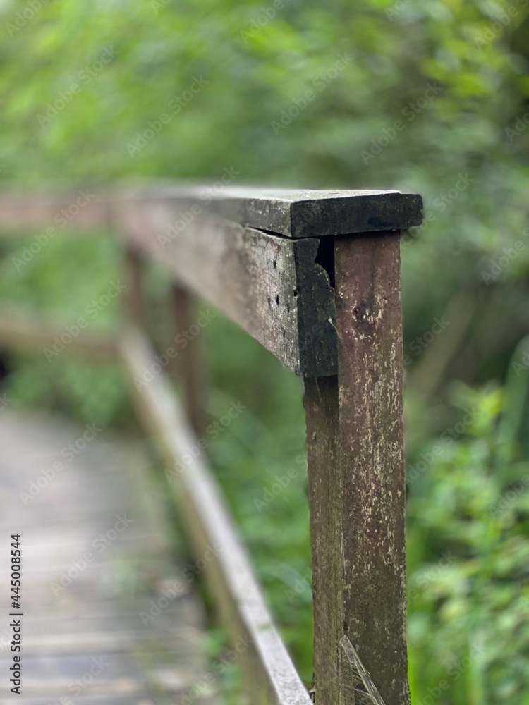 Wooden footbridge in the park near Wlodawa
