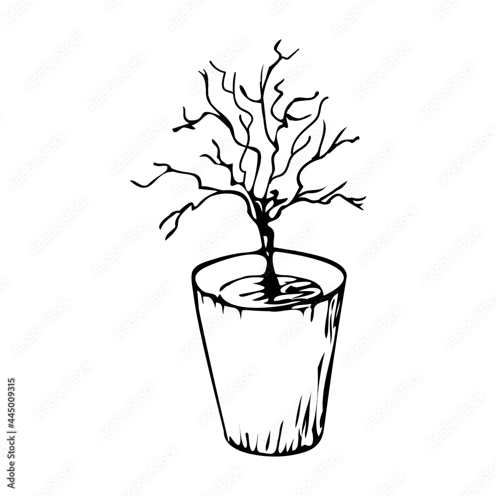 dying dry dead potted houseplant flat design icon dying dry dead potted houseplant flat design icon