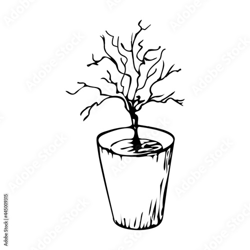 dying dry dead potted houseplant flat design icon