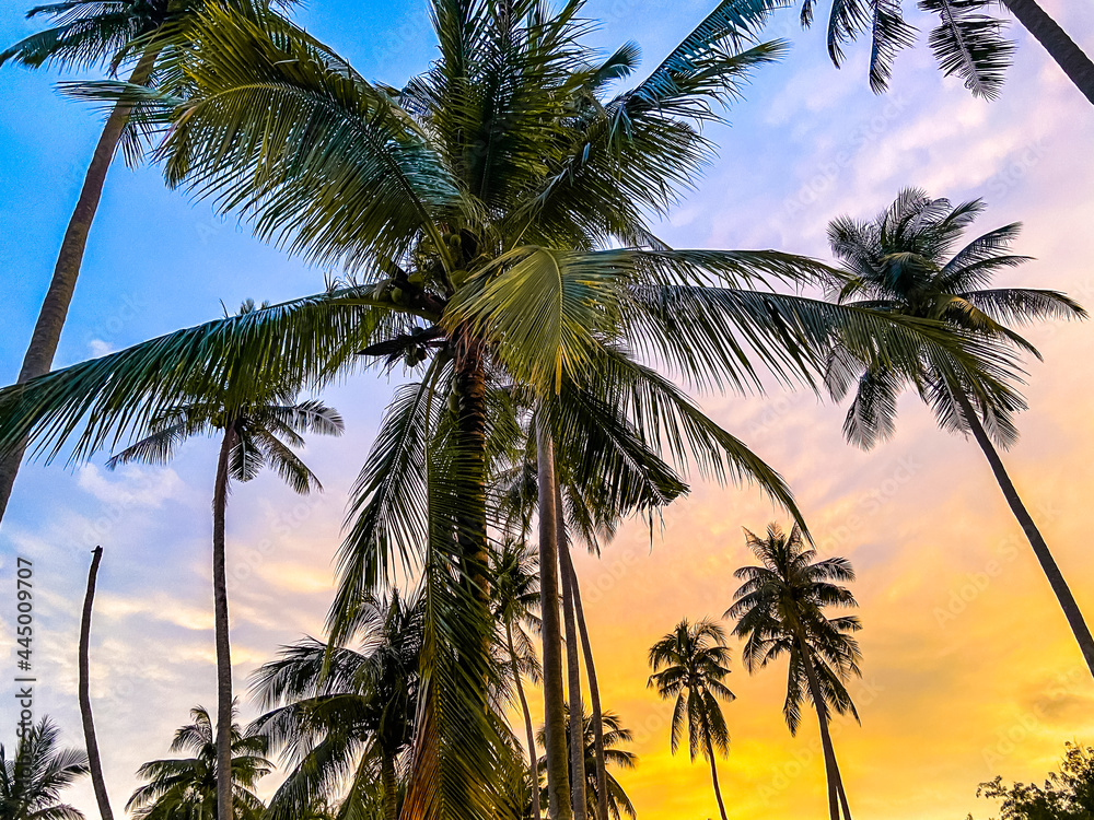 Fototapeta premium hideout beach sunset in Koh Kood, Trat, Thailand