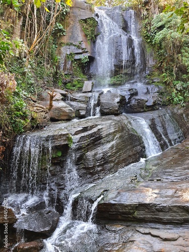 waterfall in the forest