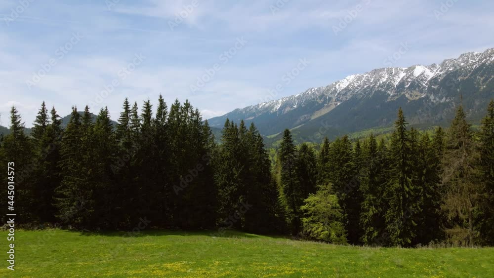 Aerial view over a pine forest with mountains in the background. Footage shot from a drone while flying at close proximity to the trees. Aerial video of a mountain landscape with forest Aerial view over a pine forest with mountains in the background. Footage shot from a drone while flying at close proximity to the trees. Aerial video of a mountain landscape with forest