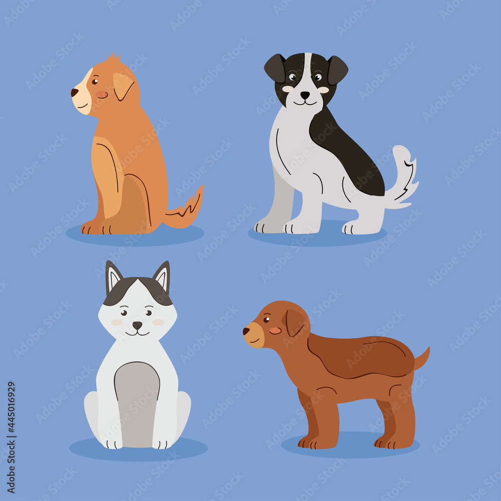 four cute dogs four cute dogs