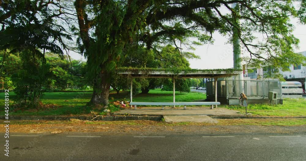 Jungly Bus Stop in the Town of Miri, East Malaysia Jungly Bus Stop in the Town of Miri, East Malaysia