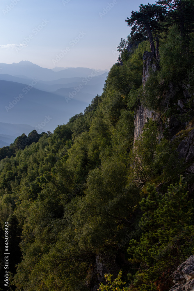 Mountain Biosphere Reserve at sunrise