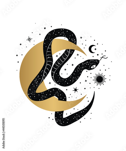 Magic snake tarot cards. magic occult esoteric astrology. Boho chic tattoo, poster, tapestry or altar veil print design vector illustration