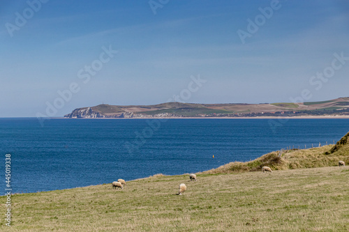 cap blanc nez, plage du pas de calais