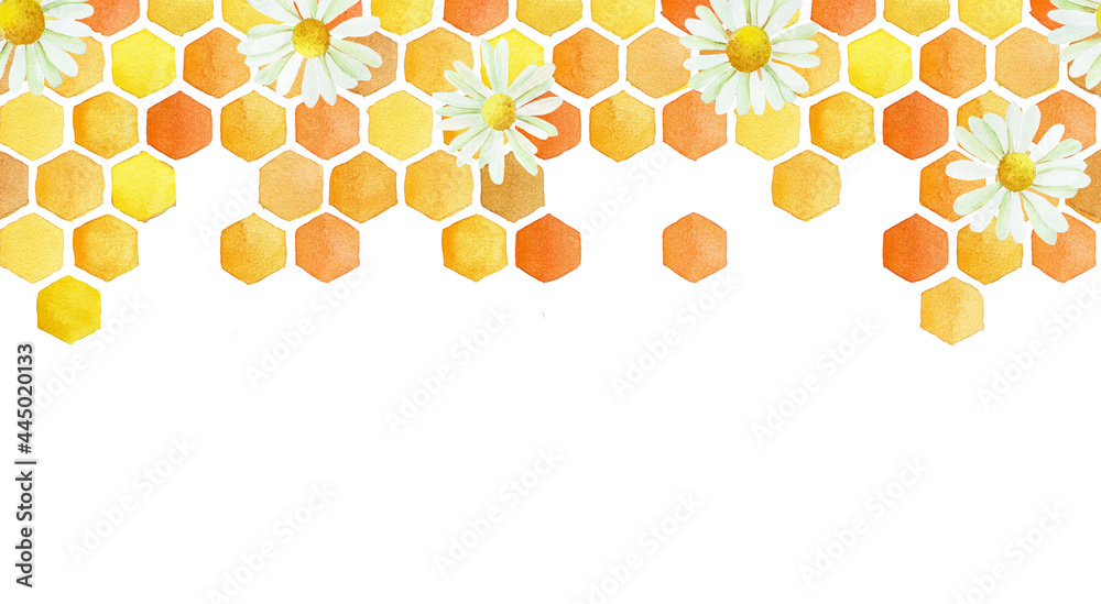 seamless border with honeycomb and chamomile flowers. cute watercolor ...