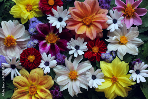 floral texture, view directly from above. garden flowers.