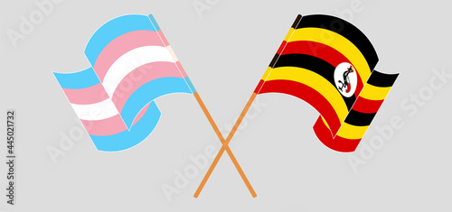 Crossed and waving flags of Transgender Pride and Uganda