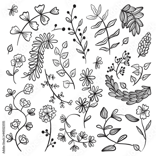 Big set of vector doodle icons. Collection of design elements  branches and twigs with leaves  flower buds and petals.