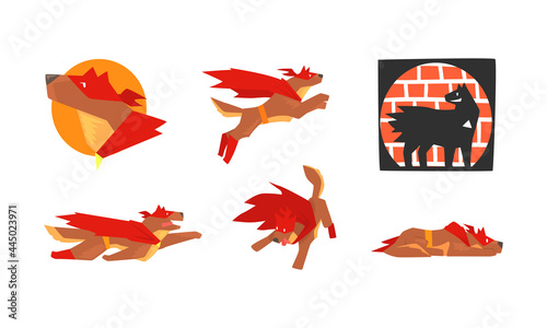 Muscular Brown Dog in Superhero Red Cloak as Guard Vector Set