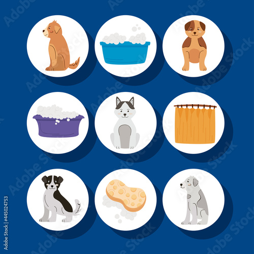 nine washing pets icons