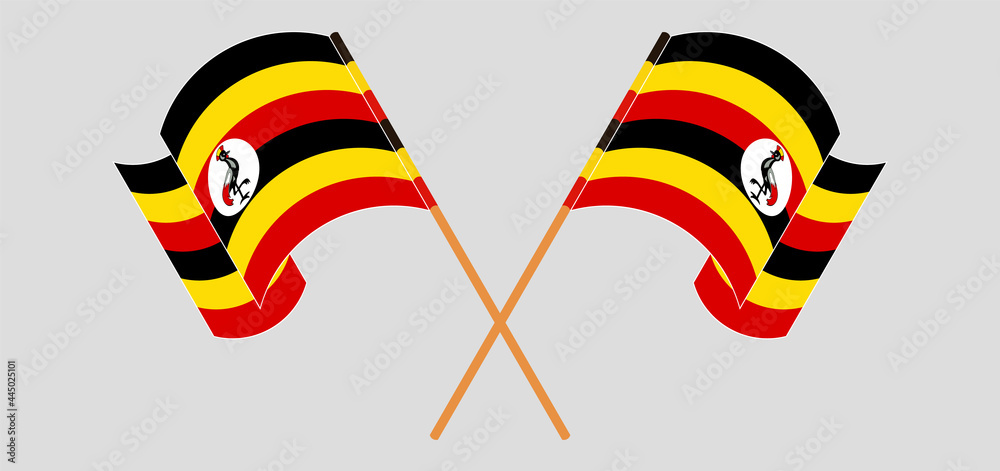 Crossed and waving flags of Uganda Crossed and waving flags of Uganda