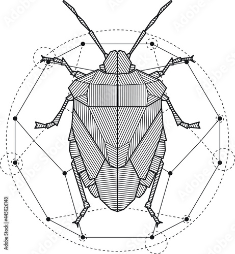 Mystic Forest Bug Geometric Drawing Tattoo or Logo. Blackwork Art. Isolated vector symbol.	
