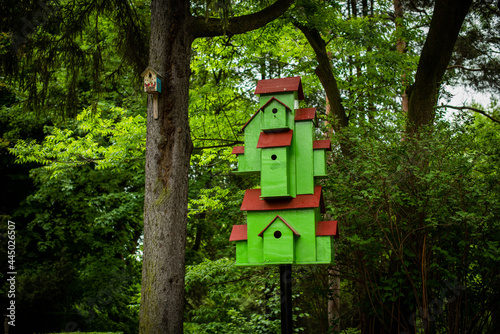 house in the forest for birds. Wooden green bird house in the summer park. on an tree stump. Old wooden feeder for birds on a tree, empty bird's feeder caring about wild birds in cold season.