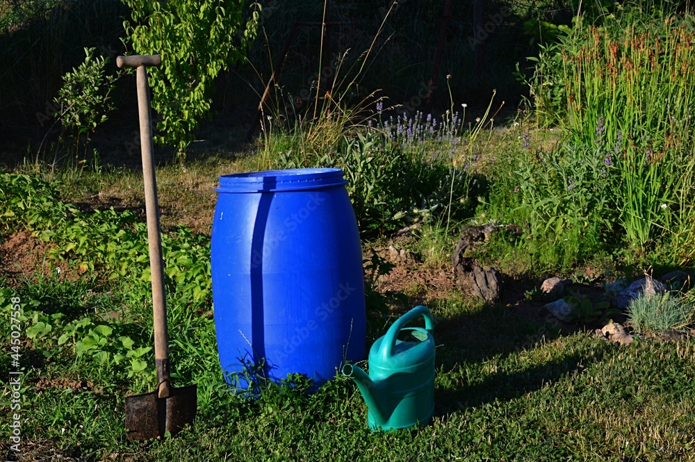 Garden itools - plastic blue barrel, emerald blue watering can and old spade with wooden handle jabbed in garden soil, various plants in flowerbeds behind the tools. Summer late afternoon sunshine. Garden itools - plastic blue barrel, emerald blue watering can and old spade with wooden handle jabbed in garden soil, various plants in flowerbeds behind the tools. Summer late afternoon sunshine.