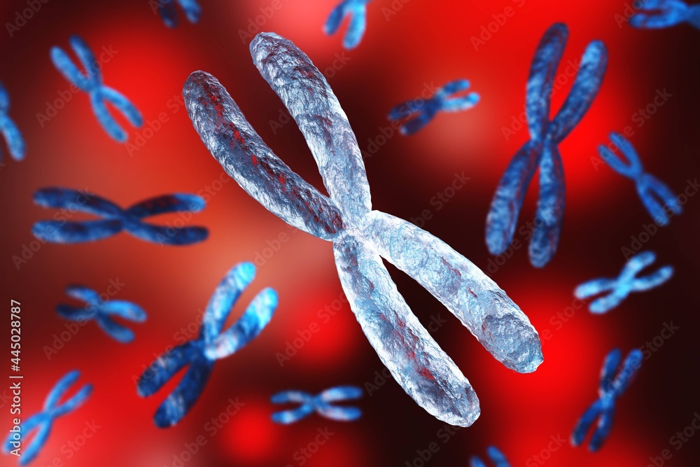 X chromosome against the background of DNA. Chromosomes and DNA.
3D rendering