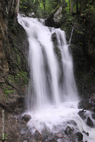 Fototapeta Naklejka Na Ścianę i Meble -  waterfall in the forest in Switzerland
