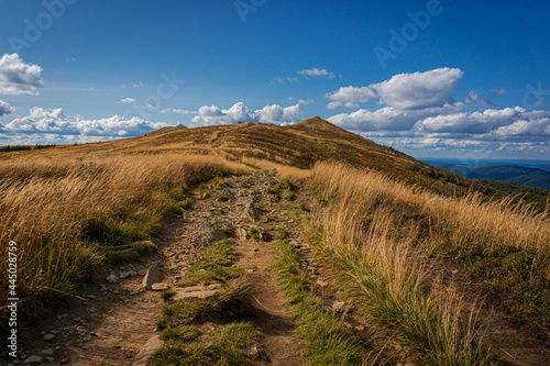 Fototapeta Naklejka Na Ścianę i Meble -  Połonina Wetlińska | Bieszczady, Polska