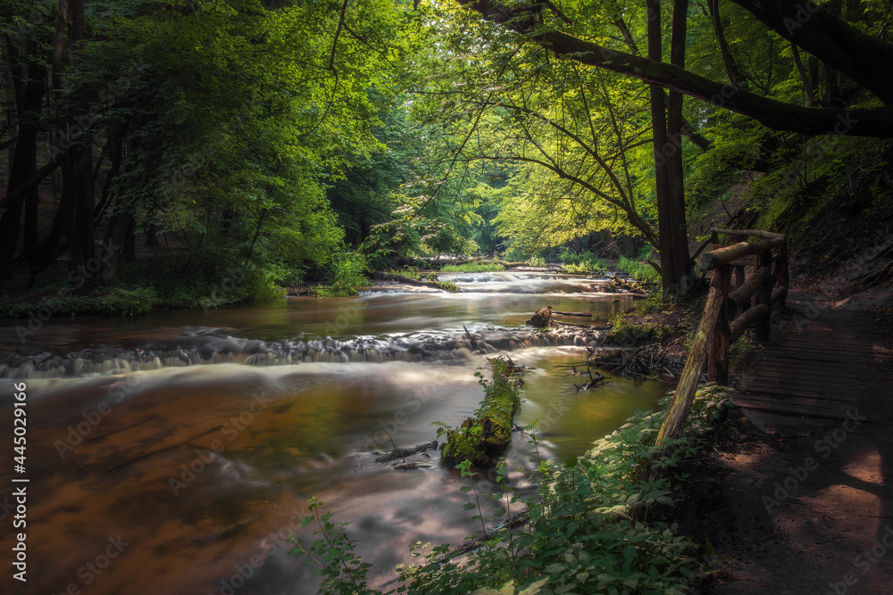 Nature reserve Cascades on Tanew River (Szumy nad Tanwią), Roztocze, Poland. River flowing through the green forest in the summertime. Wooden footbridge leading along the river.