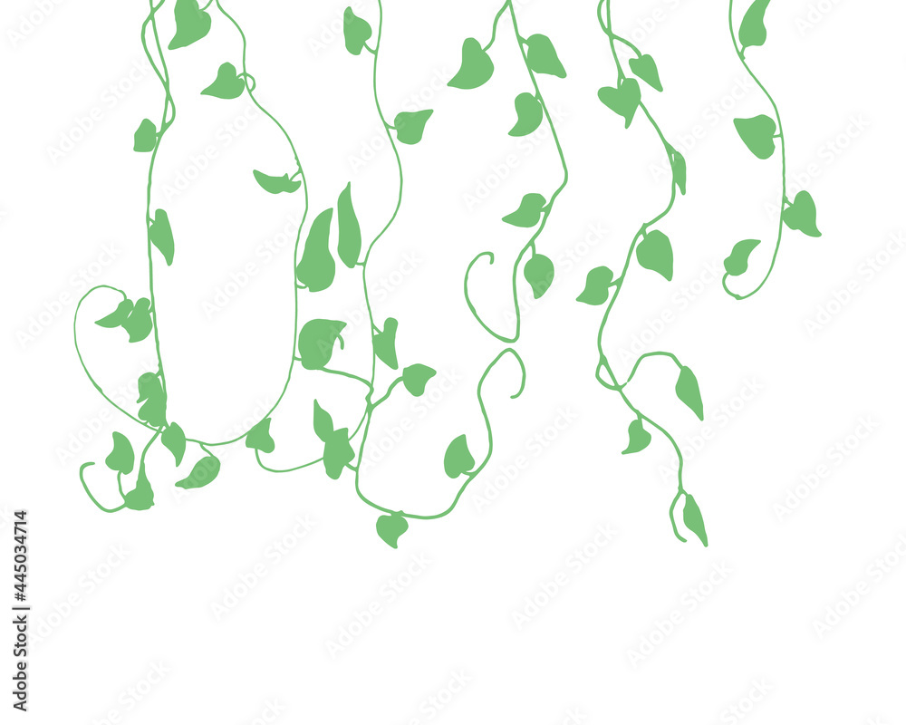 手書きのツタイラスト。 植物イラストベクターパーツセット。 Stock ベクター | Adobe Stock