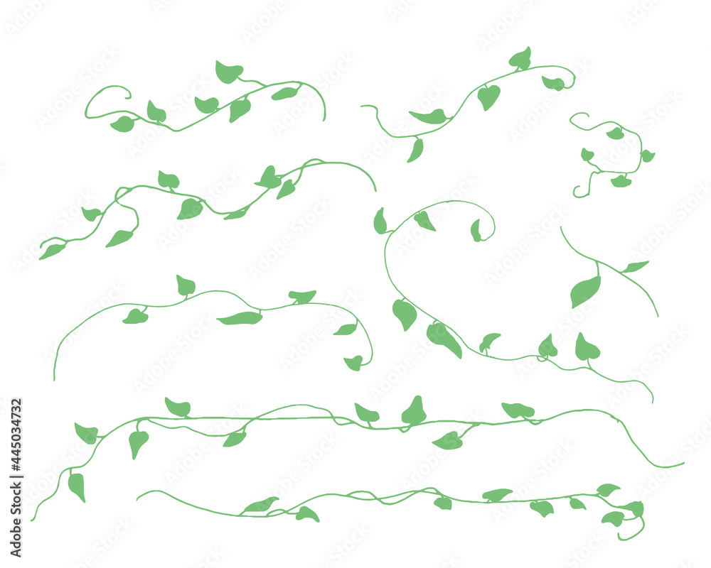 手書きのツタイラスト 植物イラストベクターパーツセット Stock 벡터 Adobe Stock