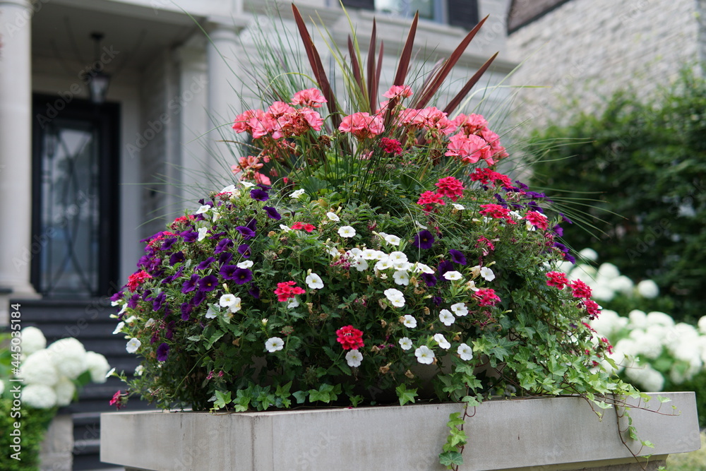 Obraz premium ornamental basket of bright summer flowers on a pillar in front of a house