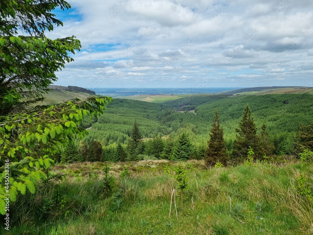 Obraz premium landscape with trees and mountains