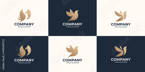 symbol bird logo design. creative abstract bird logo modern. half vector bird inspiration. set icon bird logo.