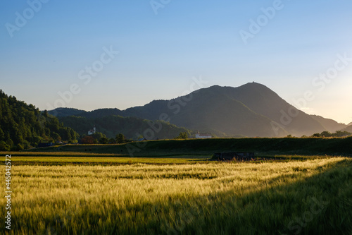 Sorsko field under Lubnik in sunset