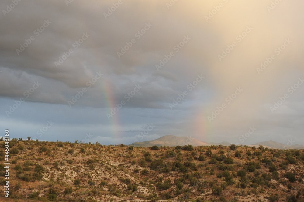 Φωτογραφία A beautiful rainbow over the desert landscape, Coconino National Forest, Yavapai County, Arizona
