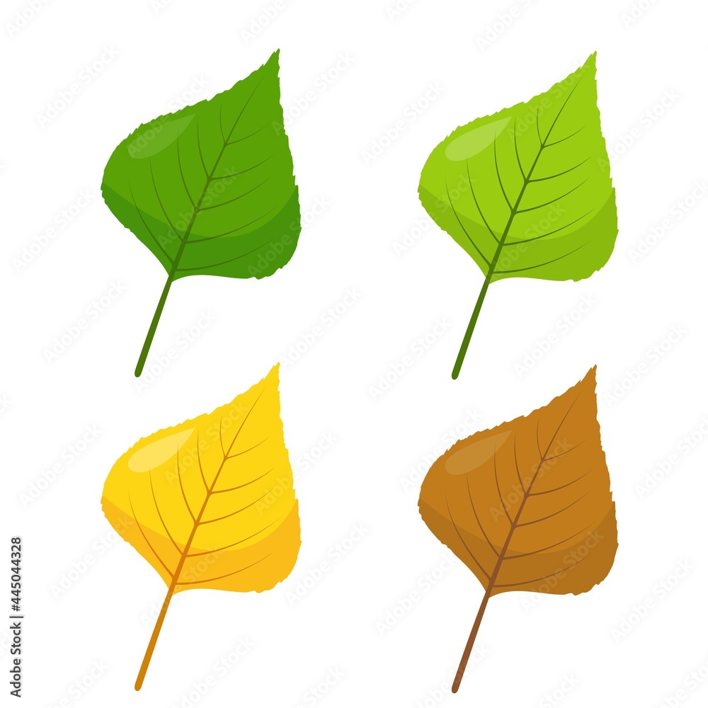Obraz premium Multicolored Birch, Aspen or Poplar leaves icons