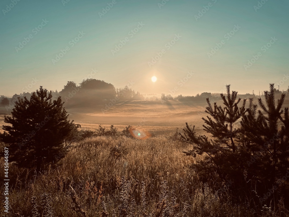Fototapeta premium Misty Countryside Morning