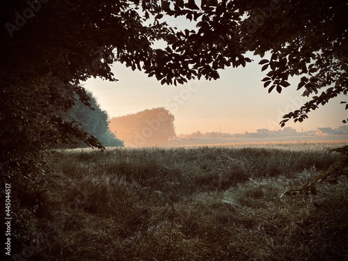 Misty Countryside Morning